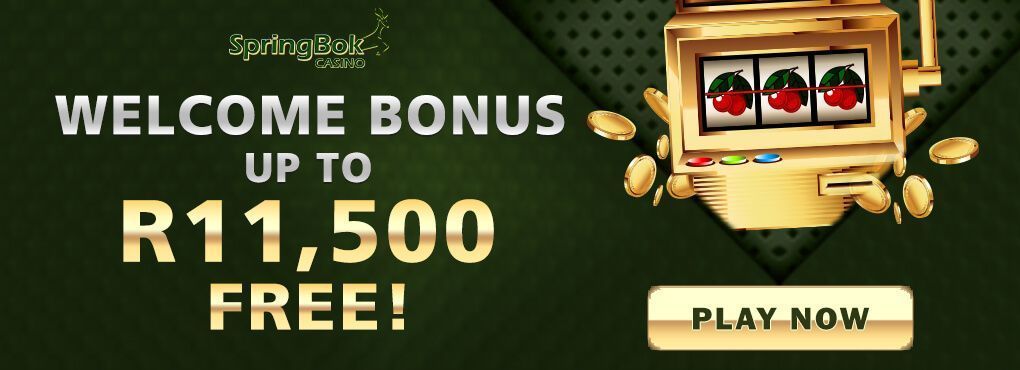 Springbok Casino No Deposit Bonus Codes